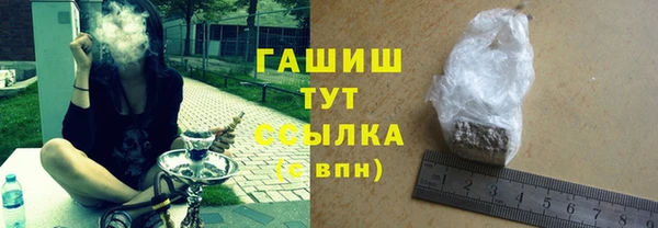 мдпв Козельск