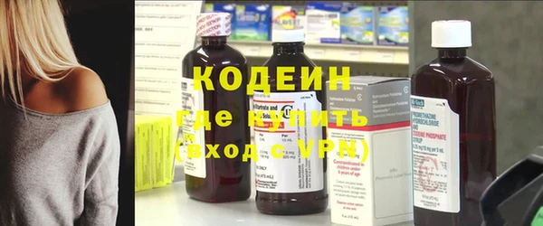 СК Кодинск