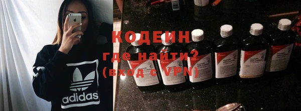 СК Кодинск