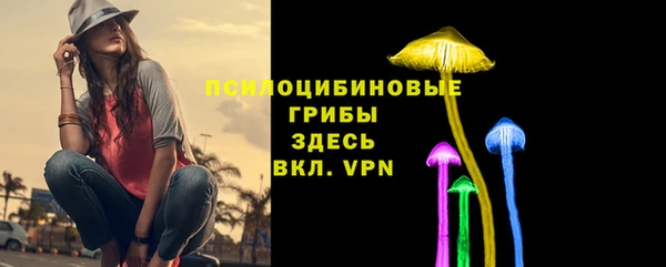ECSTASY Козловка
