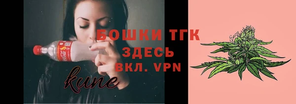 ECSTASY Козловка