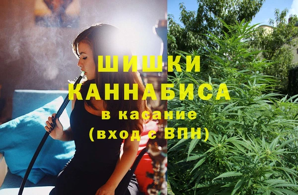 СК Кодинск