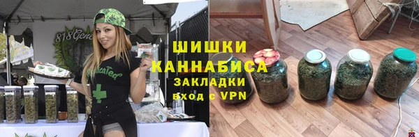 мдпв Козельск