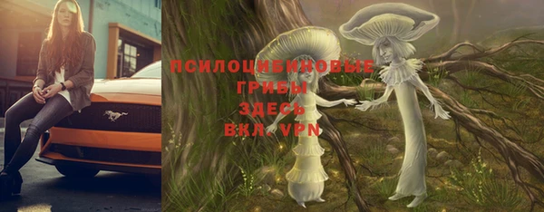 мдпв Козельск