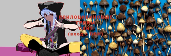 мет Семилуки