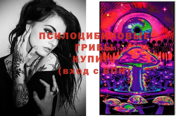 меф Корсаков