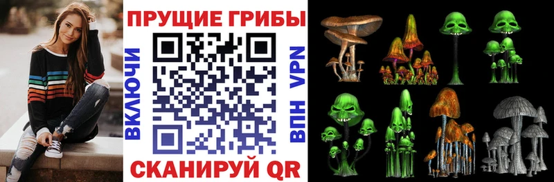 Галлюциногенные грибы прущие грибы Унеча