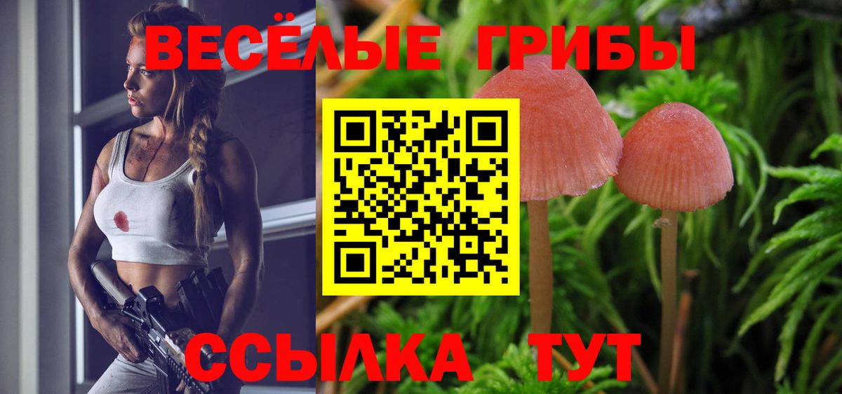 Псилоцибиновые грибы MAGIC MUSHROOMS  Вход с VPN  Псилоцибиновые грибы Psilocybe  Унеча 